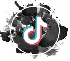 TikTok Goes Down Hard Like NyQuil Chicken