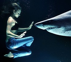 A New Menacing SharkBot Banking Trojan Lurks For Android Phones On Google Play