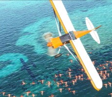 Microsoft Flight Simulator Stands With Ukraine And Enables A Humanitarian Charity Campaign