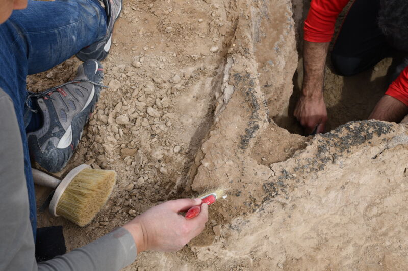 Archaeologists unearth ancient Sumerian riverboat in Iraq