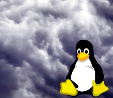 Microsoft Warns Of Nimbuspwn Security Flaws That Grant Hackers Linux Root Access