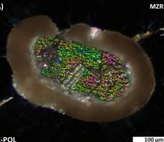 Scientists Confirm Meteorite Impact 36M Years Ago Formed This Hottest Rock On Earth