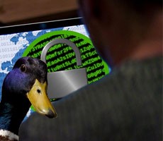 Windows 11 Update Leaves Trend Micro Users Sitting Ducks To Ransomware