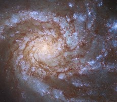 Breathtaking Hubble Image Shows A Grand Design Of A Spiral Galaxy 42M Light Years Away