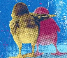 Twitter Is Still Recovering From Its Longest Outage In 6 Years