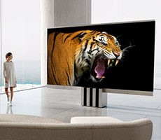 Porsche’s Wild 165-Inch Folding MicroLED TV Emerges From A Trapdoor And Costs A Mint