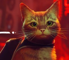 Stray Coughs Up A Hairball On PC As Devs Acknowledge Major Stuttering Issue