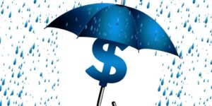 Umbrella Business Secure Idea Rain Dollar Concept