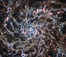 NASA's James Webb Telescope Reveals The Skeletal 'Bones' Of A Spiral Galaxy