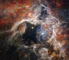 NASA Space Telescope's Stellar Image Of Tarantula Nebula Will Blow You Away