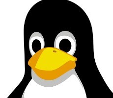 Avoid This Linux Update That Can Reportedly Damage Intel Laptop Displays