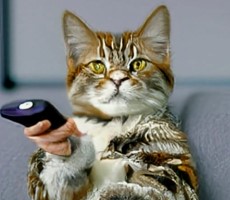 Meta’s Unveils AI Powered Make-A-Video Generator And It’s Pretty Freaky