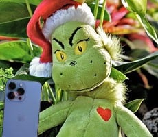 Apple Puts On Its Grinch Hat And Hacks Device Trade-In Values By Up To $550
