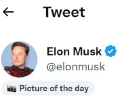 Musk Warns Twitter Could File For Bankruptcy As Key Execs Jump Ship