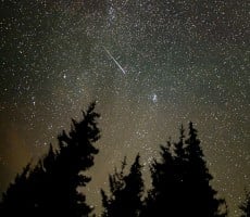 Scientists Carve A 15-Ton Meteorite That Crashed Into Earth And Are Stunned At What's Inside