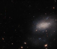 Hubble Space Telescope Captures A Surprise Visitor Streaking Across A Distant Galaxy