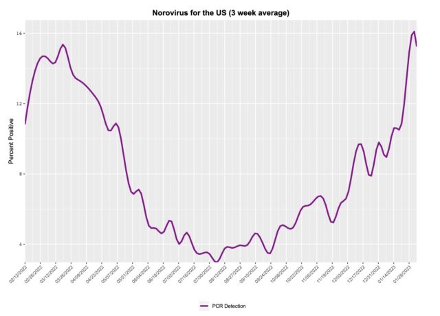 Norovirus test positivity.