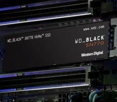 Amazon Storage Deals Bring Huge Savings On WD SSDs, SanDisk Memory Cards And More