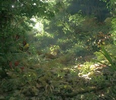 Watch Epic Games' Mind-Blowing Unreal Engine 5.2 Photorealistic Tech Demo