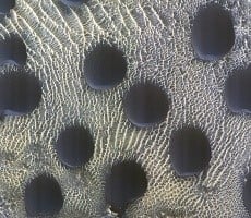 Scientists Are Mesmerized By These Unusual Circular Sands Dunes On Mars