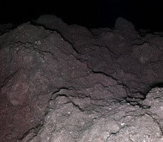 Scientists Make A Shocking Discovery Of RNA Molecules In Asteroid Dust Sample
