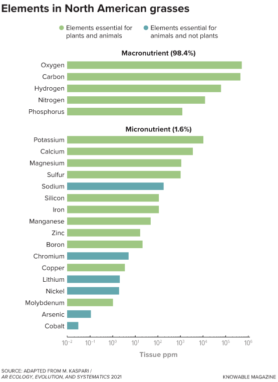 Plants take up many elements from the soil, some of which are needed by both plants and animals, others only by animals.