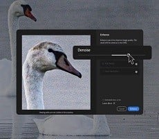 Adobe Lightroom's AI Upgrade Arrives To Fix Your Grainy Photos Taken In Poor Light