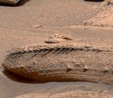 NASA Solves The Mystery Of A Strange Dragon-Like Skeleton Spotted On Mars