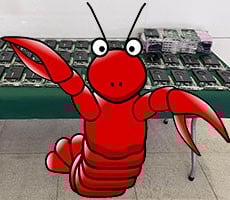 Smuggler Tries Hiding NVIDIA GPUs With Live Lobsters But Authorities Fished It Out