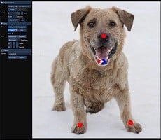DragGAN AI Tool Lets You Click And Drag To Manipulate Images, And It’s Wild
