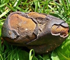 Scientists Warn Don't Even Think About Using A Magnet If You Find A Meteorite