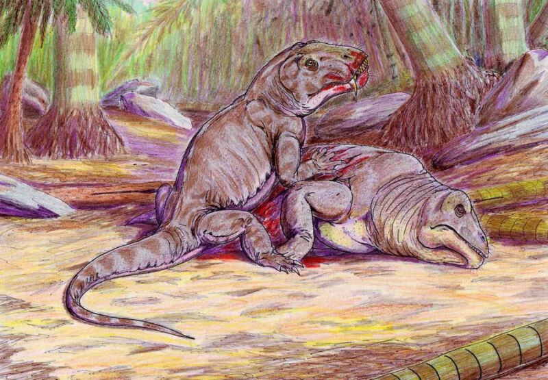 Artist’s depiction of two dinocephalians, a group of land animals that
died out in the Captitanian extinction(s).
