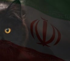 Iranian Hacker Group Deploys New Attacks Targeting Nuclear Security Experts