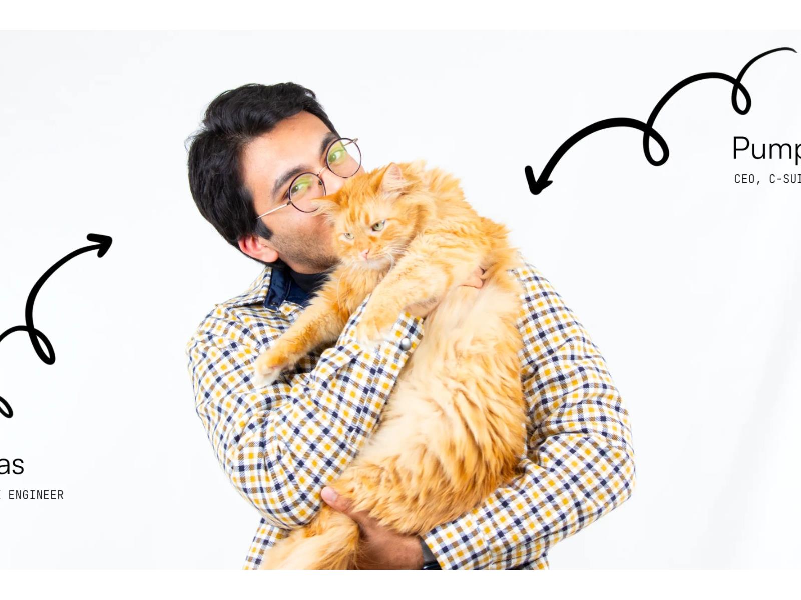 FindMyCat Open-Source Pet Tracker Is The Purrfect Way To Keep Tabs On Your Feline Friend