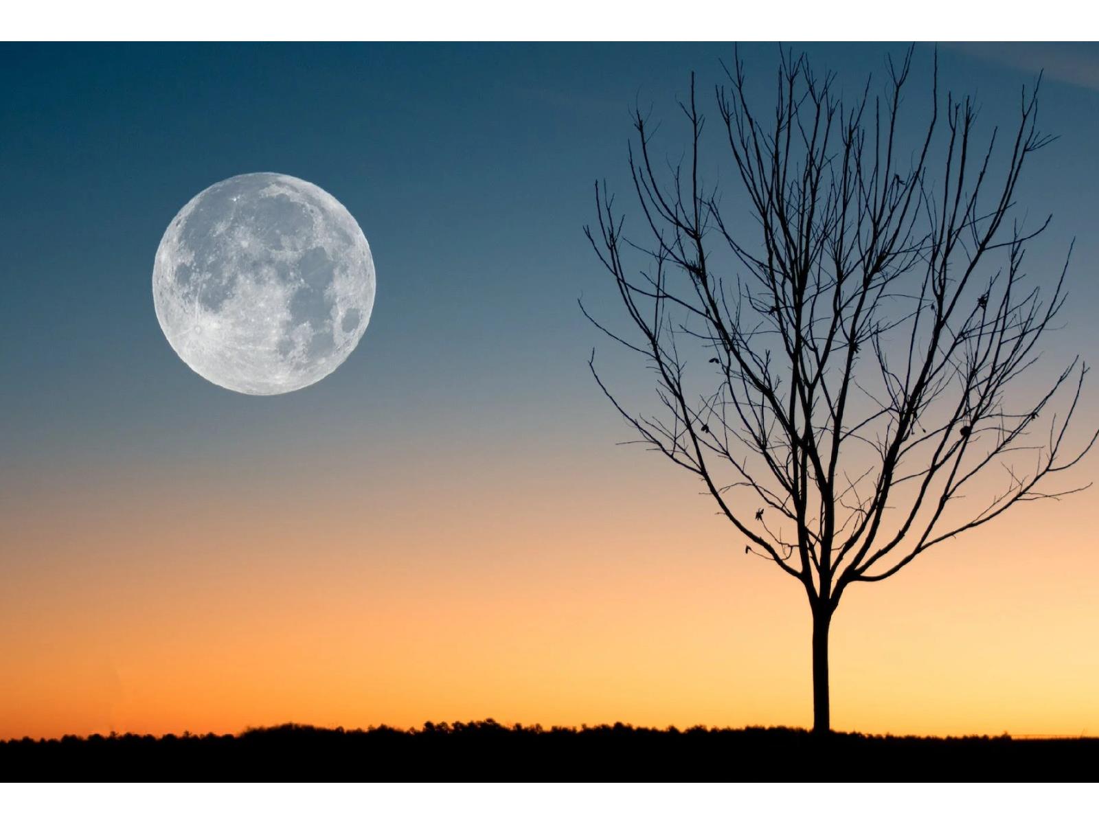 Full Hunter's Moon Will Bring Jupiter Into View, How To Watch The Spooktacular Event