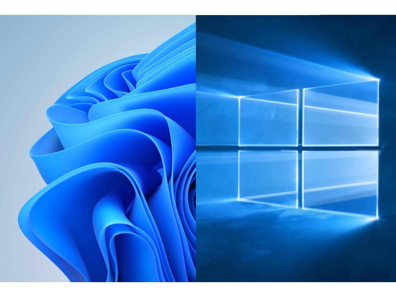 Windows 11 Is Getting Crushed By Windows 10 In This Stat And It's Not Even Close
