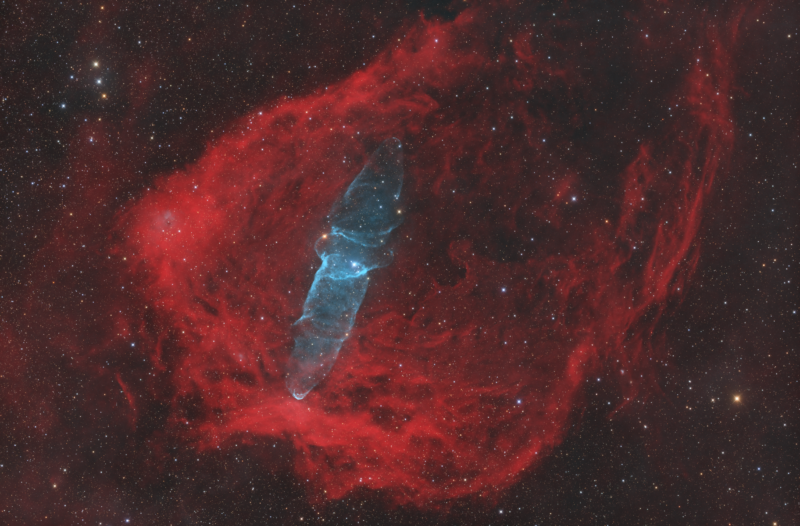 The Flying Bat and Squid nebulae.