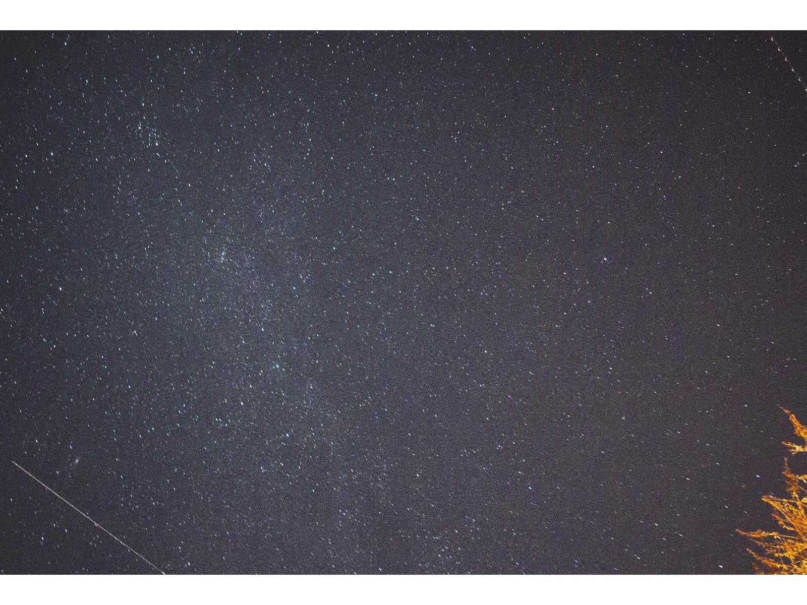 Leonid Meteor Shower To Put On A Spectacular Light Show In The Skies This Weekend