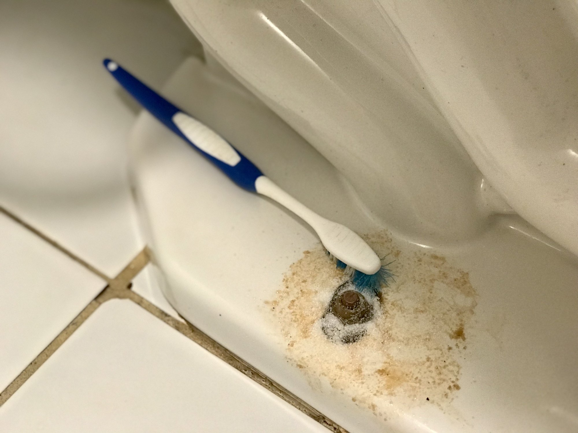 bottom of toilet with toothbrush citric acid remove rust