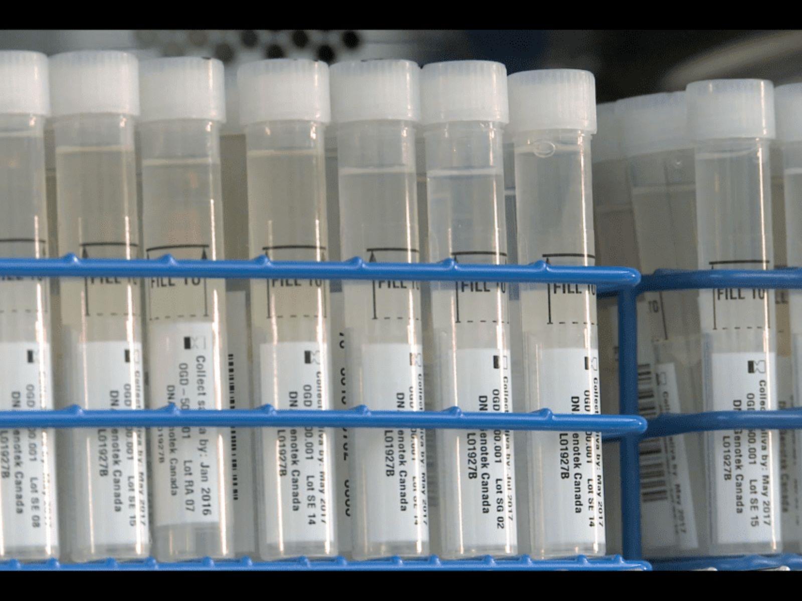 23andMe Discloses Startling Data Breach To SEC Impacting 6.9M User Profiles