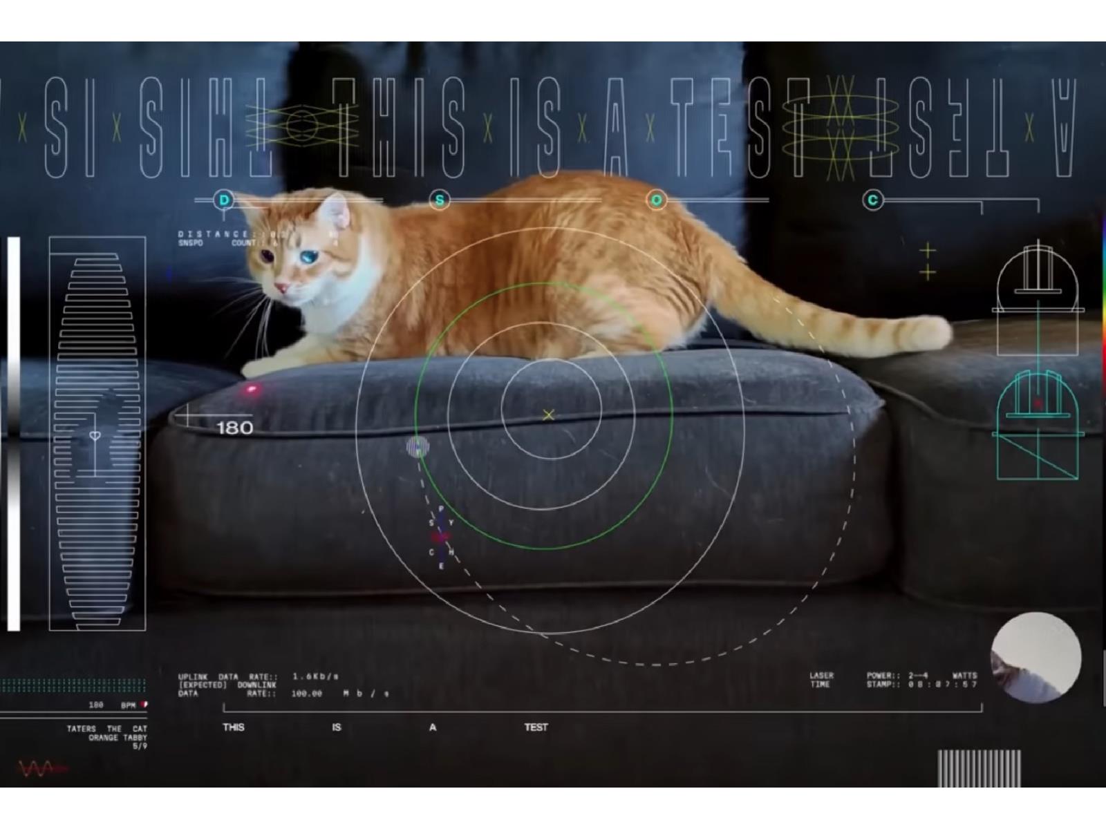 Watch NASA’s Purrfect HD Cat Video Streamed From 18.6M Miles In Space