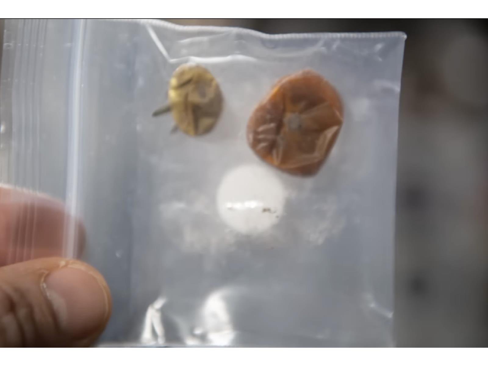 NASA Solves Yearlong Mystery Of Missing Tomatoes On ISS And Shares Saucy Photo