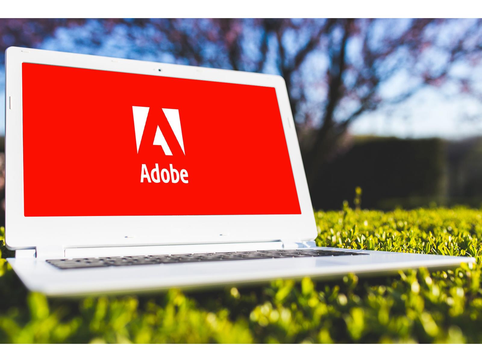 Adobe Braces For A Big Fine As FTC Investigates Subscription Cancellation Policy