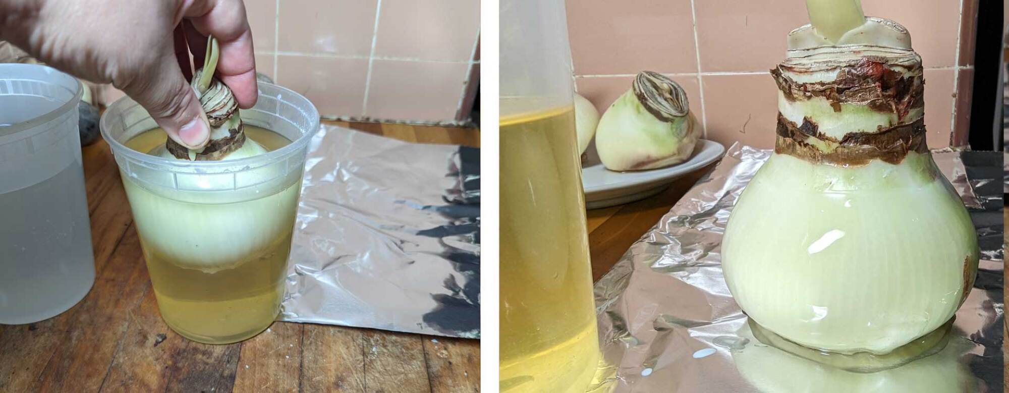 Dip the bulb to an inch below the stem and after a few dunks, let it drip onto the tin foil, making a puddle the bulb can sit in.