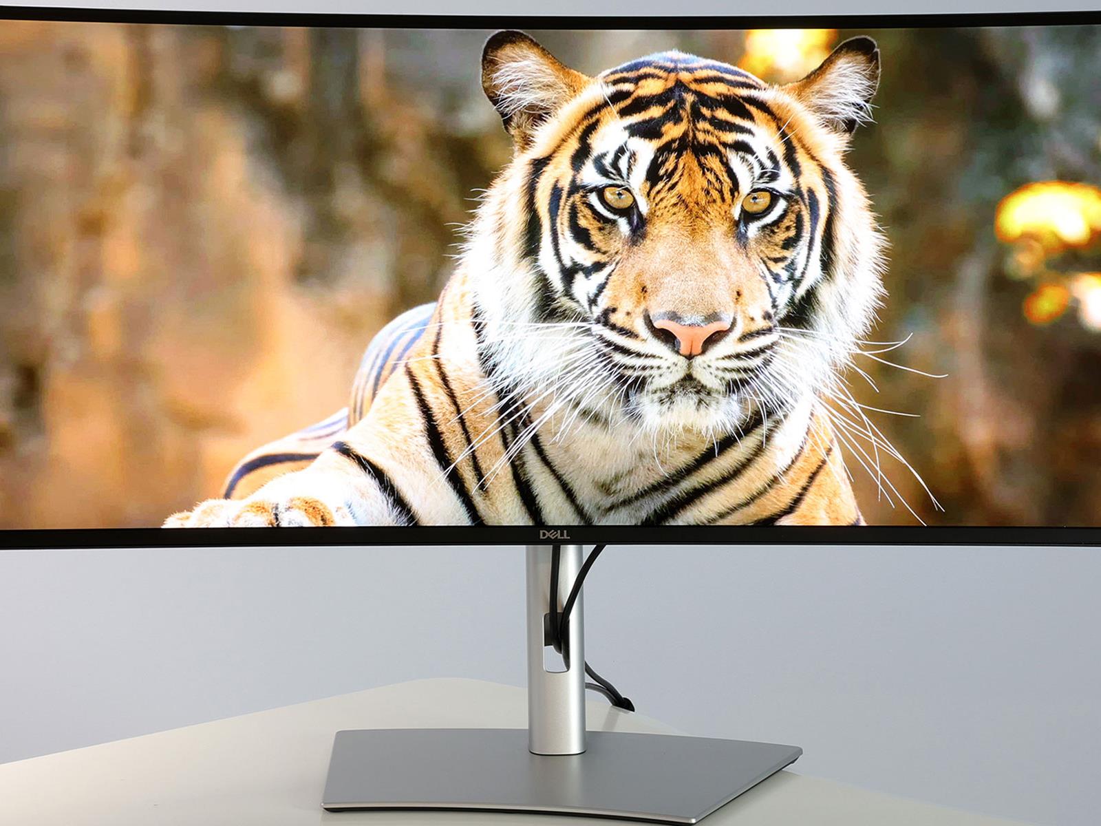 Dell UltraSharp 40 5K IPS Black 120Hz Monitor Review: It’s A Stunner