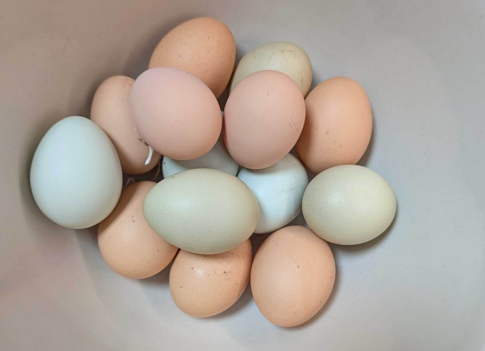 My "free" eggs