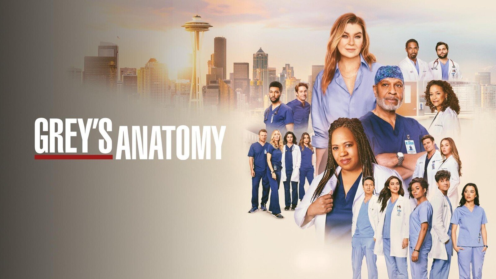 Grey’s Anatomy (2005 - )