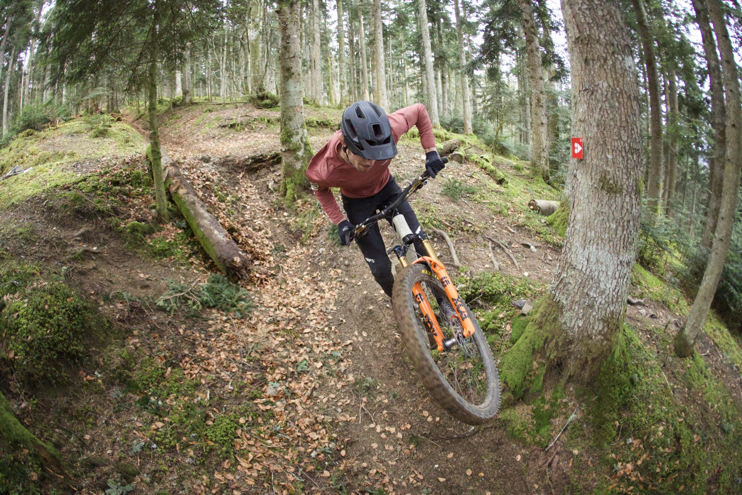 Fox 36SL Factory on tree-lined trail