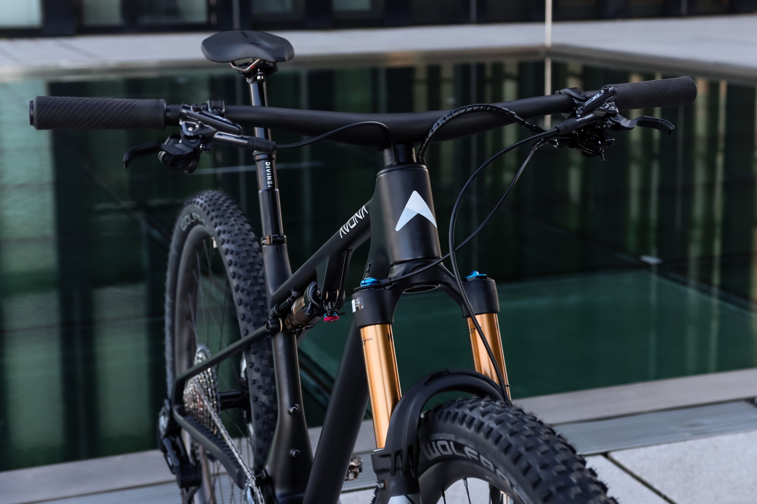 Avona Silva mountain bike