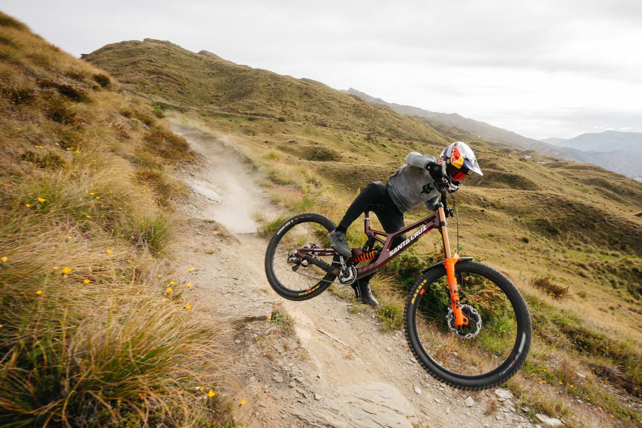 Fox DHX2 on Jackson Goldstone bike